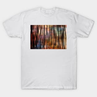 Springtime Supplication T-Shirt